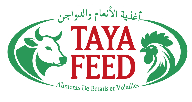 شعار طاية فيد